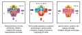 Herz Teplo Mix 32 6.jpg