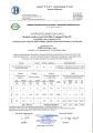 SAS BIO COMPACT 25 kW