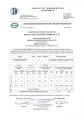 SAS BIO COMPACT 15 kW