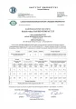 SAS BIO COMPACT 25 kW