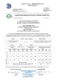 kociol-sas-bio-spark-23-kw-z-automatycznym-podawaniem-paliwa-ekogroszek-5-klasa-certyfikat-ecodesign.webp