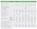 SAS BIO EFEKT 29 kW
